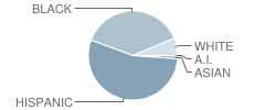 Pulaski (Casimir) Intermediate School Student Race Distribution