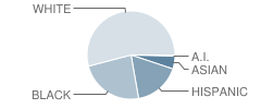 Mcvey (Joseph M.) Elementary School Student Race Distribution