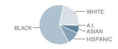 Leasure (May B.) Elementary School Student Race Distribution