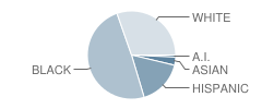 Jones (Albert H.) Elementary School Student Race Distribution