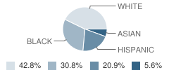 Gallaher (Robert S.) Elementary School Student Race Distribution