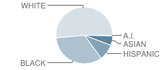 Brader (Henry M.) Elementary School Student Race Distribution