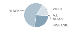 Eisenberg (Harry O.) Elementary School Student Race Distribution