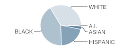 Downie (Carrie) Elementary School Student Race Distribution