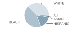 Read (George) Middle School Student Race Distribution