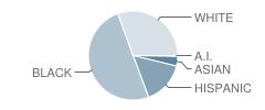 Penn (William) High School Student Race Distribution