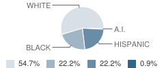 Ennis (Howard T.) School Student Race Distribution