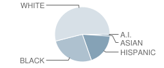 Morris (Evelyn I.) Early Childhood School Student Race Distribution