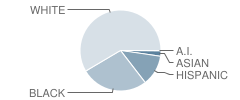 Banneker (Benjamin) Elementary School Student Race Distribution