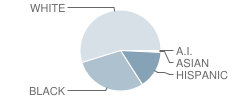 Ross (Lulu M.) Elementary School Student Race Distribution
