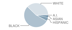 Dupont (Pierre S.) Elementary School Student Race Distribution