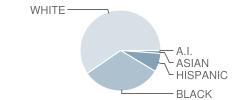 Hodgson (Paul M.) Vocational Technical High School Student Race Distribution