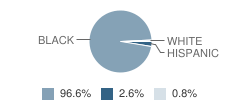 Shortlidge (Evan G.) Academy Student Race Distribution