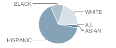 Mote (Anna P.) Elementary School Student Race Distribution
