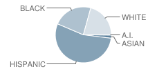 Baltz (Austin D.) Elementary School Student Race Distribution