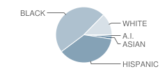 Dupont (Alexis I.) Middle School Student Race Distribution
