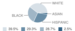 Mckean (Thomas) High School Student Race Distribution