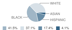Dickinson (John) High School Student Race Distribution