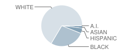 Moore (John Bassett) School Student Race Distribution
