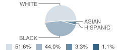 Chester Shell Elementary School Student Race Distribution