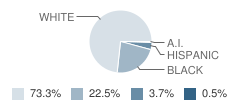Waldo Community School Student Race Distribution