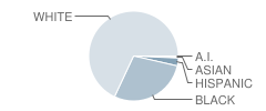 Southside Elementary School Student Race Distribution