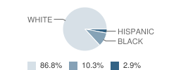 Brooker Elementary School Student Race Distribution