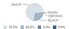 Bradford Middle School Student Race Distribution