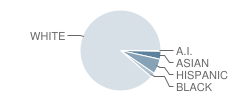 Edgewood High School (Junior / Senior) Student Race Distribution