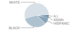 Mayport Elementary School Student Race Distribution
