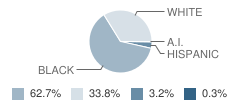 Central Hamilton Elementary School Student Race Distribution