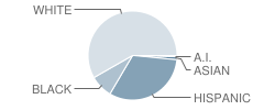 Sebastian River Middle School Student Race Distribution