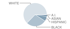 Leesburg High School Student Race Distribution