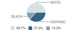 J. Colin English Elementary School Student Race Distribution