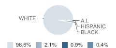 Cedar Key High School Student Race Distribution