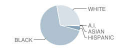 Madison County Central School Student Race Distribution