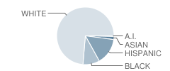 Belleview High School Student Race Distribution