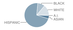 Professional & Technical High School Student Race Distribution