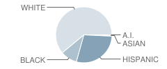 Alturas Elementary School Student Race Distribution