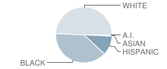 Mellon Elementary School Student Race Distribution
