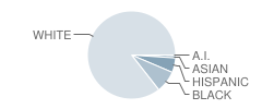 Melrose Elementary School Student Race Distribution