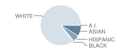 Pine View School Student Race Distribution