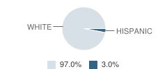 Steinhatchee School Student Race Distribution