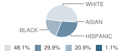 Deaf High School (Fsdb) Student Race Distribution