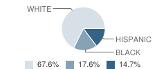 Blind Elementary School (Fsdb) Student Race Distribution
