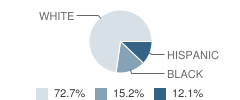 Blind Middle School (Fsdb) Student Race Distribution