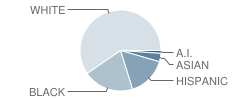 Blind High School (Fsdb) Student Race Distribution