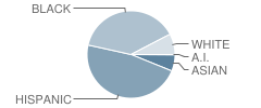 Somerset Academy Elementary (Miramar Campus) Student Race Distribution