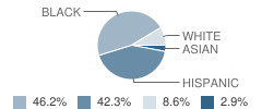 Somerset Academy Middle (Miramar Campus) Student Race Distribution