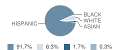 Pinecrest Academy (South Campus) Student Race Distribution